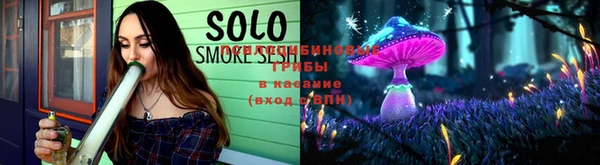 сатива Богданович