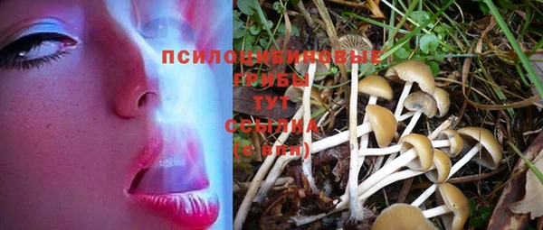 сатива Богданович